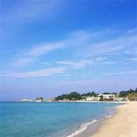 面朝大海