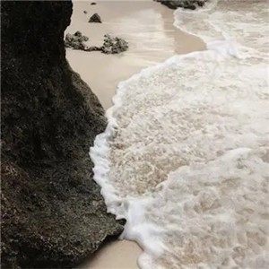 雨伞