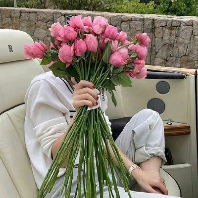 蒲菊
