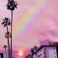 Rainbow胡