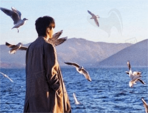 海藻