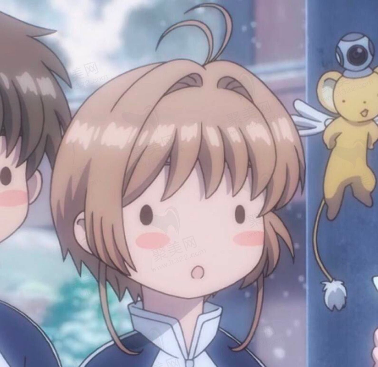 雪山的声音