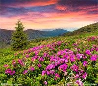侧耳倾听