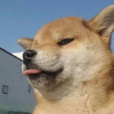每天都是绝版