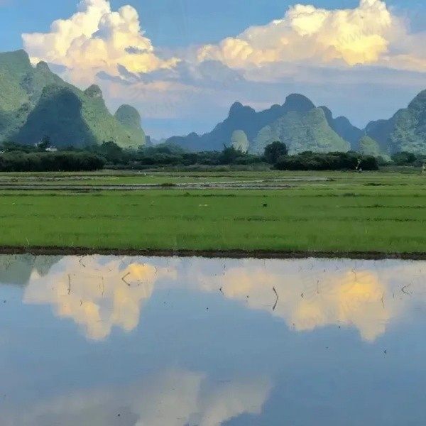冬吃萝卜夏吃姜