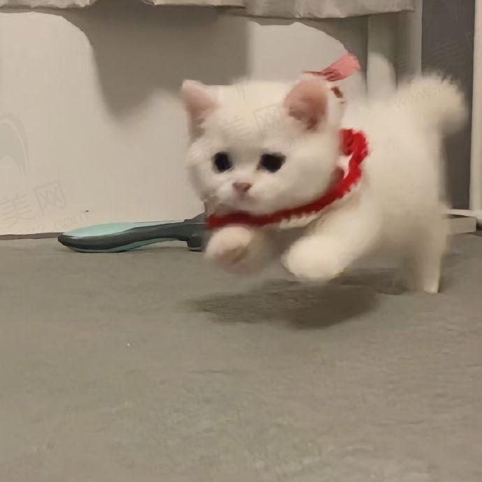 节目