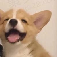 云腿煮西芹