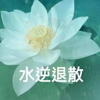 尘间土