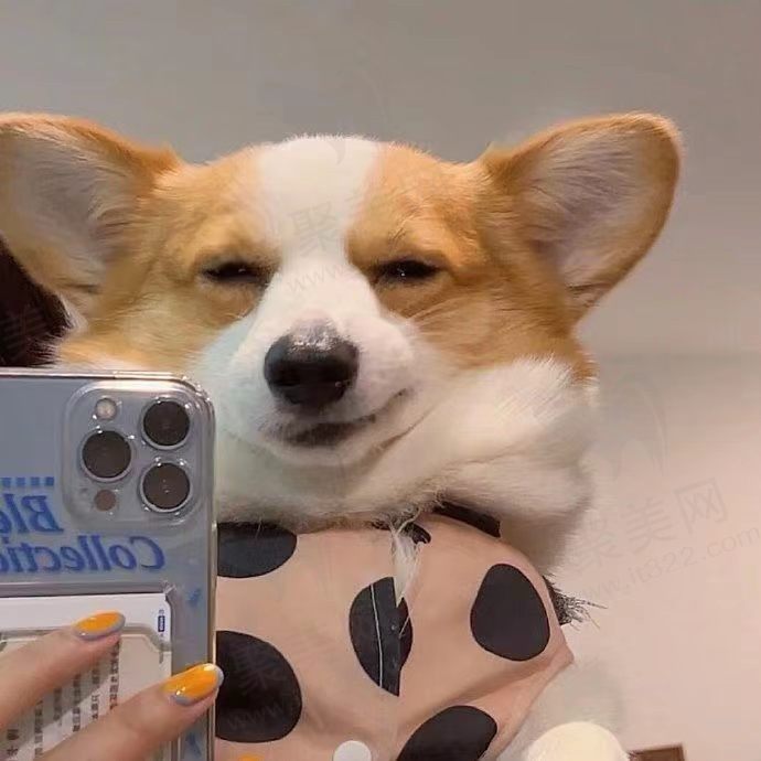 我一见你就笑