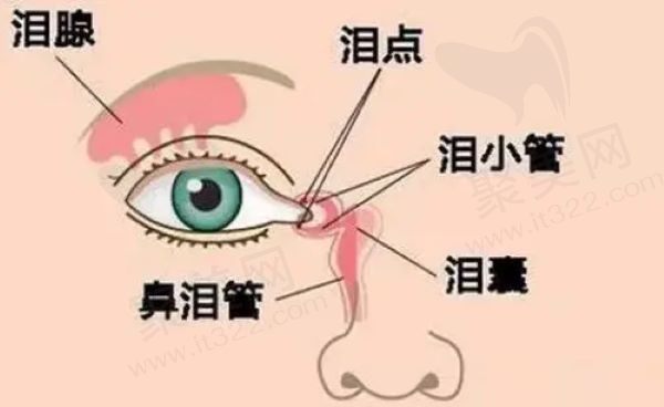 泪囊炎自己会自愈吗？不一定，需要及时就医久拖不治可能有严重后果