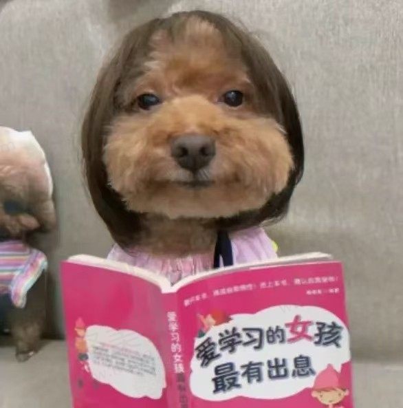 庆子今天吃点啥