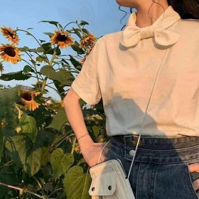 风有芝