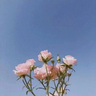 啊苏Asun