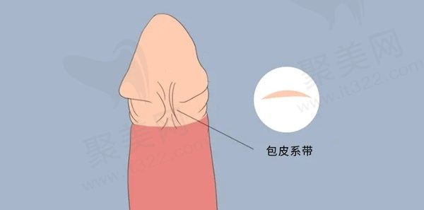 程开祥背神经修复术效果是真的可以！亲历揭秘：成功率高、手术效果佳、费用合理！