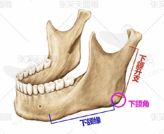 北京张笑天磨骨术后真实体验分享：方脸变V脸，值不值？