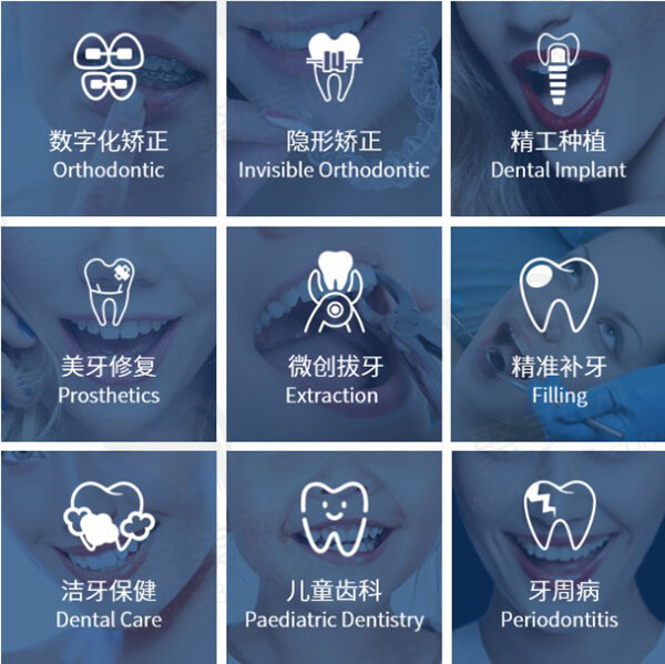 项目介绍