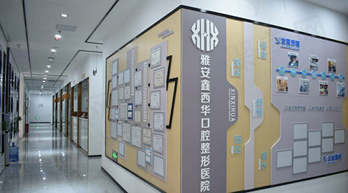 发展介绍