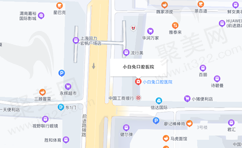 渭南小白兔口腔位置