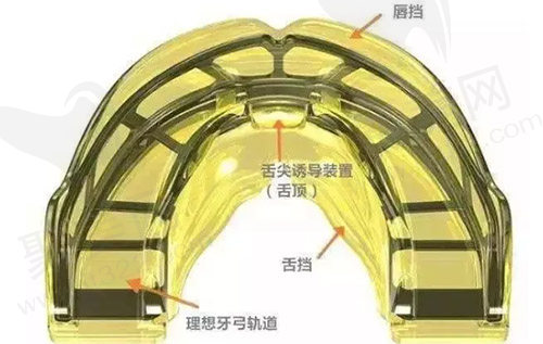 MRC肌功能矫正器介绍