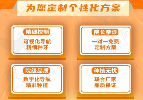 定制个性化方案