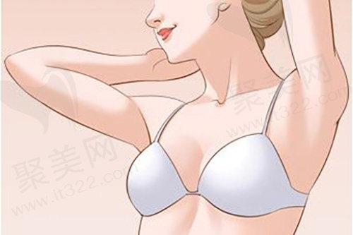 美胸