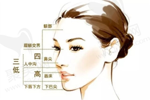 面部轮廓