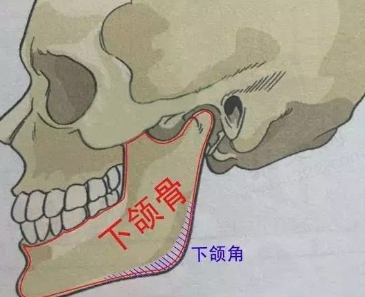 方脸做削骨手术费用贵不贵？