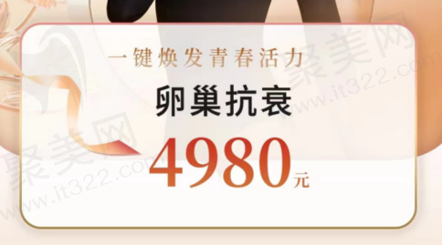 一件焕发青春活力系列