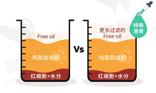 所需成分