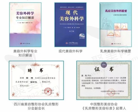 成都高新后美薛瑞荣誉资质