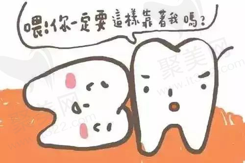 智齿