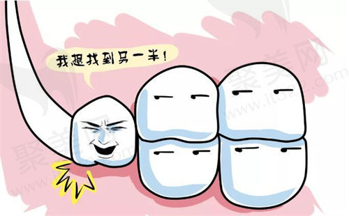 智齿