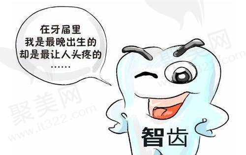 智齿