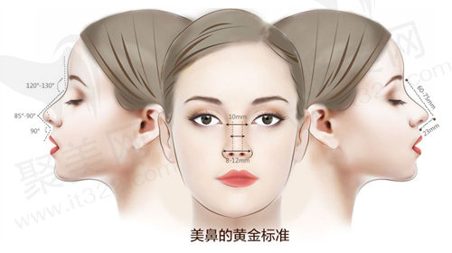 鼻修复技术