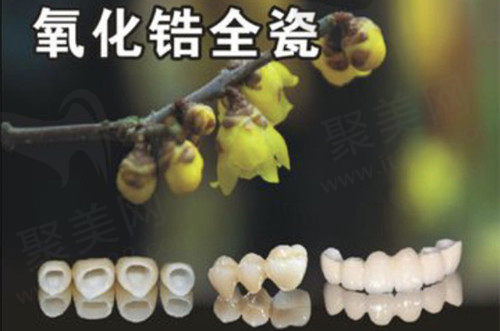 二氧化锆全瓷牙