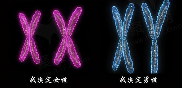 变性手术男变女还能生孩子吗