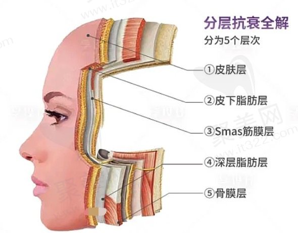 全脸拉皮除皱手术价格贵吗