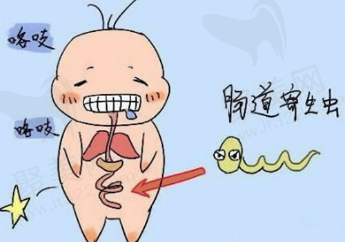 寄生虫导致磨牙
