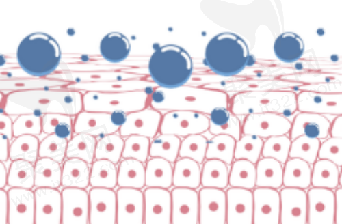 分子量图