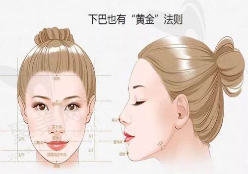 标准下巴