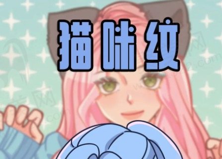猫咪纹是什么皱纹