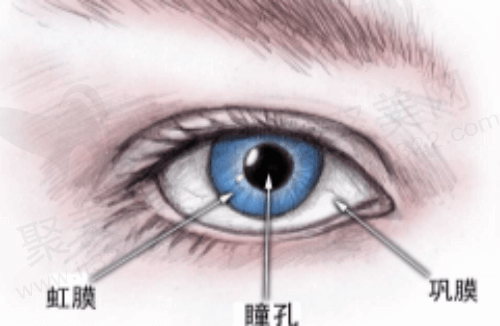 青光眼总结