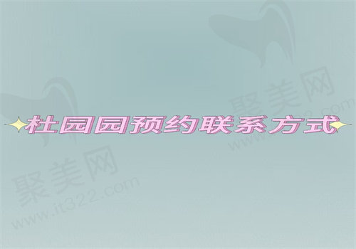 杜园园预约联系方式