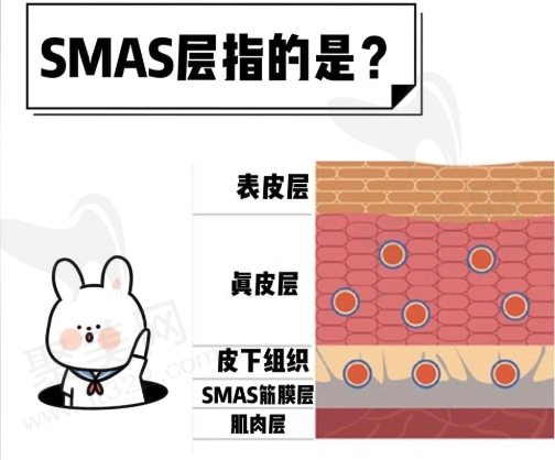 筋膜提升和拉皮手术哪个好