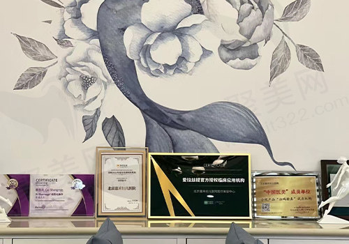 北京嘉禾整形荣誉