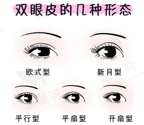 哪种啥时能眼皮形态好