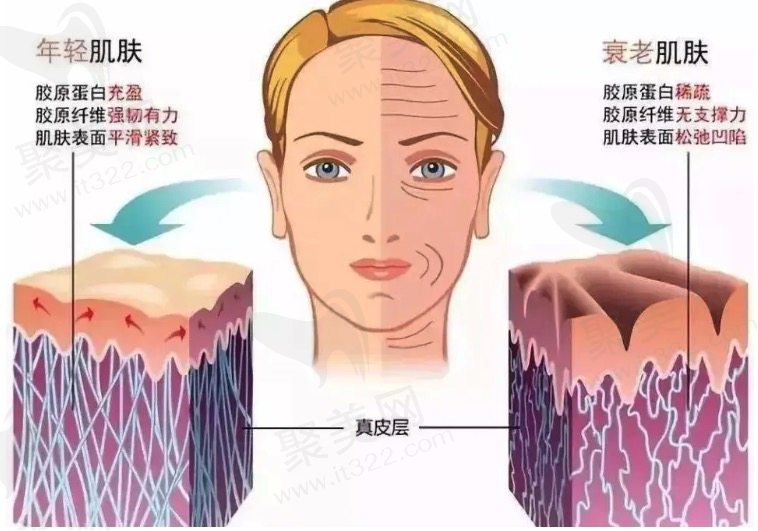 排名前十好的提拉紧致护肤品