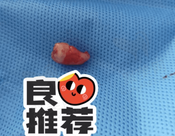 第四军 医大学口腔医院