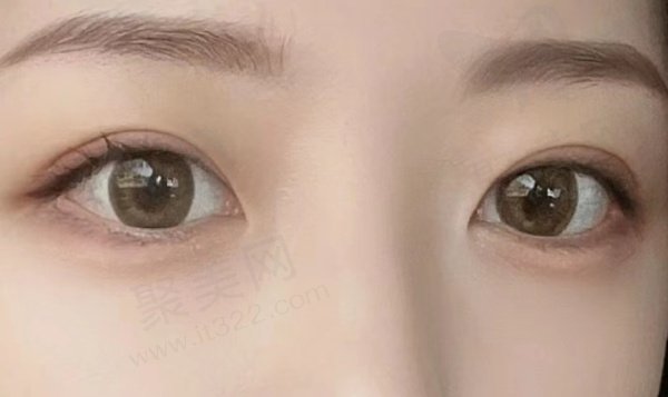 网友评价1