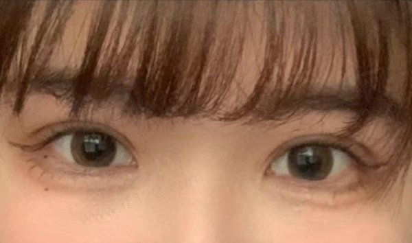 网友评价2